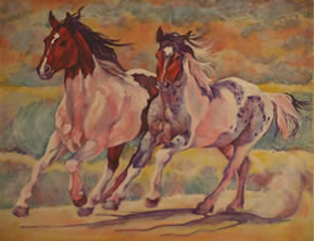 Blue Roan Paint Stallion and Paint Stallion Mustangs